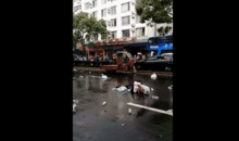 中山车祸最新爆料视频,现场惊心动魄，细节曝光引关注