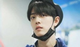 娃哈哈肖战最新爆料,揭秘娃哈哈品牌背后的故事